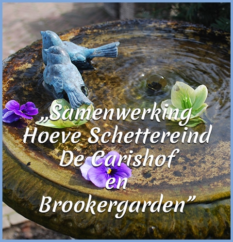 mobile_header_samenwerking mobile_header_samenwerking